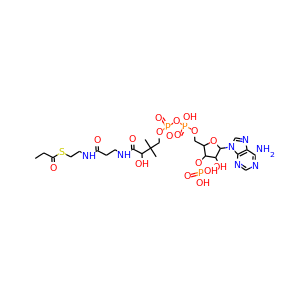 Propionyl-coenzyme A